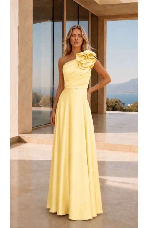 11546 VESTIDO RANI