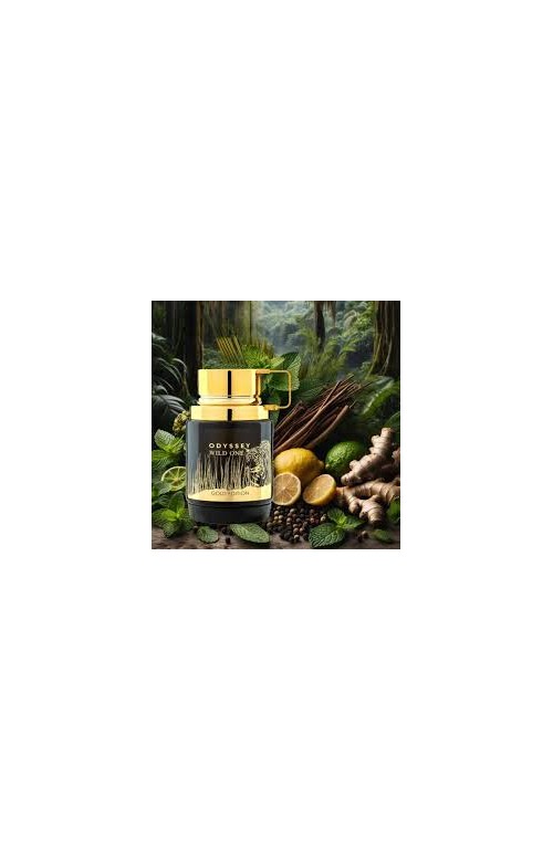 8746 PERFUME HOMBRE Odyssey wild wild one gold edition