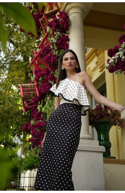 9816 CONJUNTO LOLES